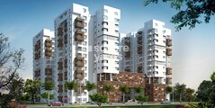 Vaswani Brentwood