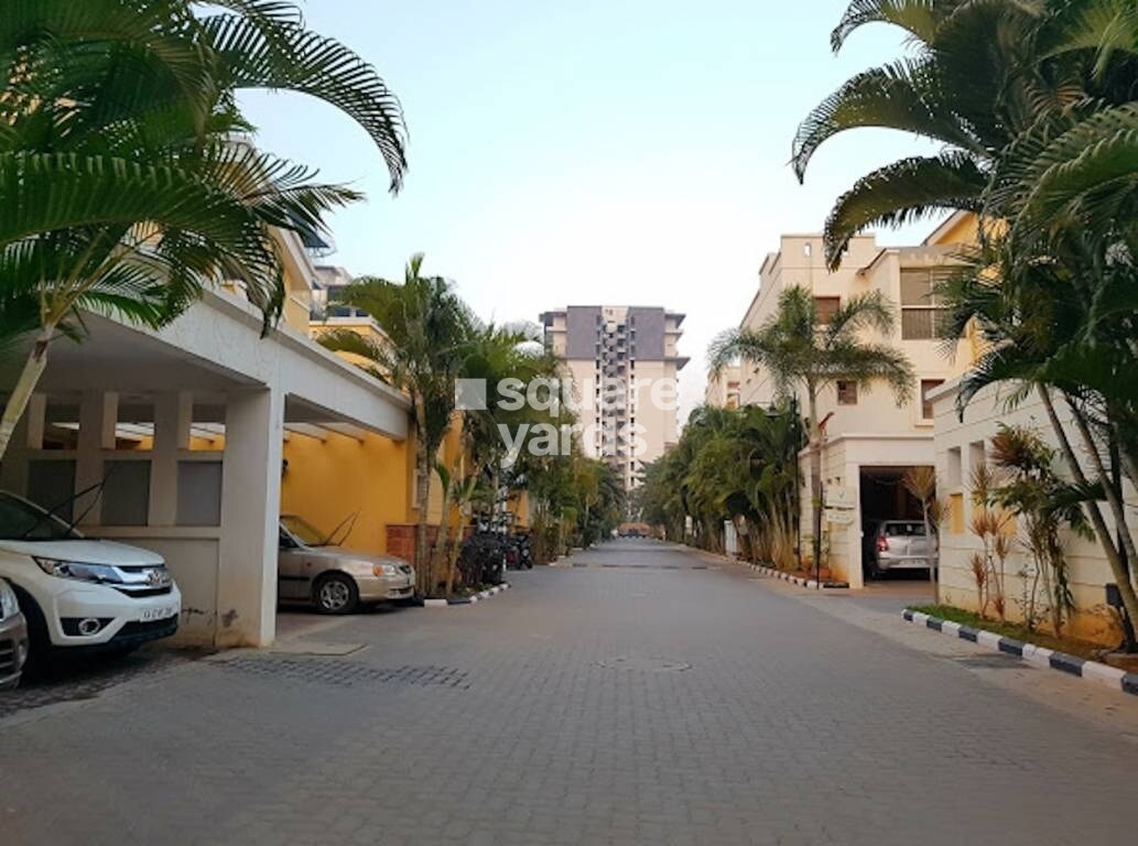 Vaswani Whispering Palms