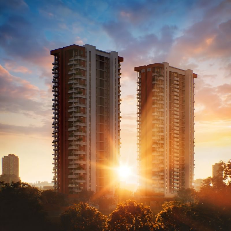 VDB Livingwalls True North