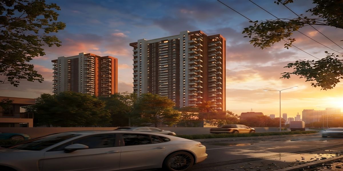 VDB Livingwalls True North