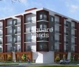Venus Solitaire Apartments