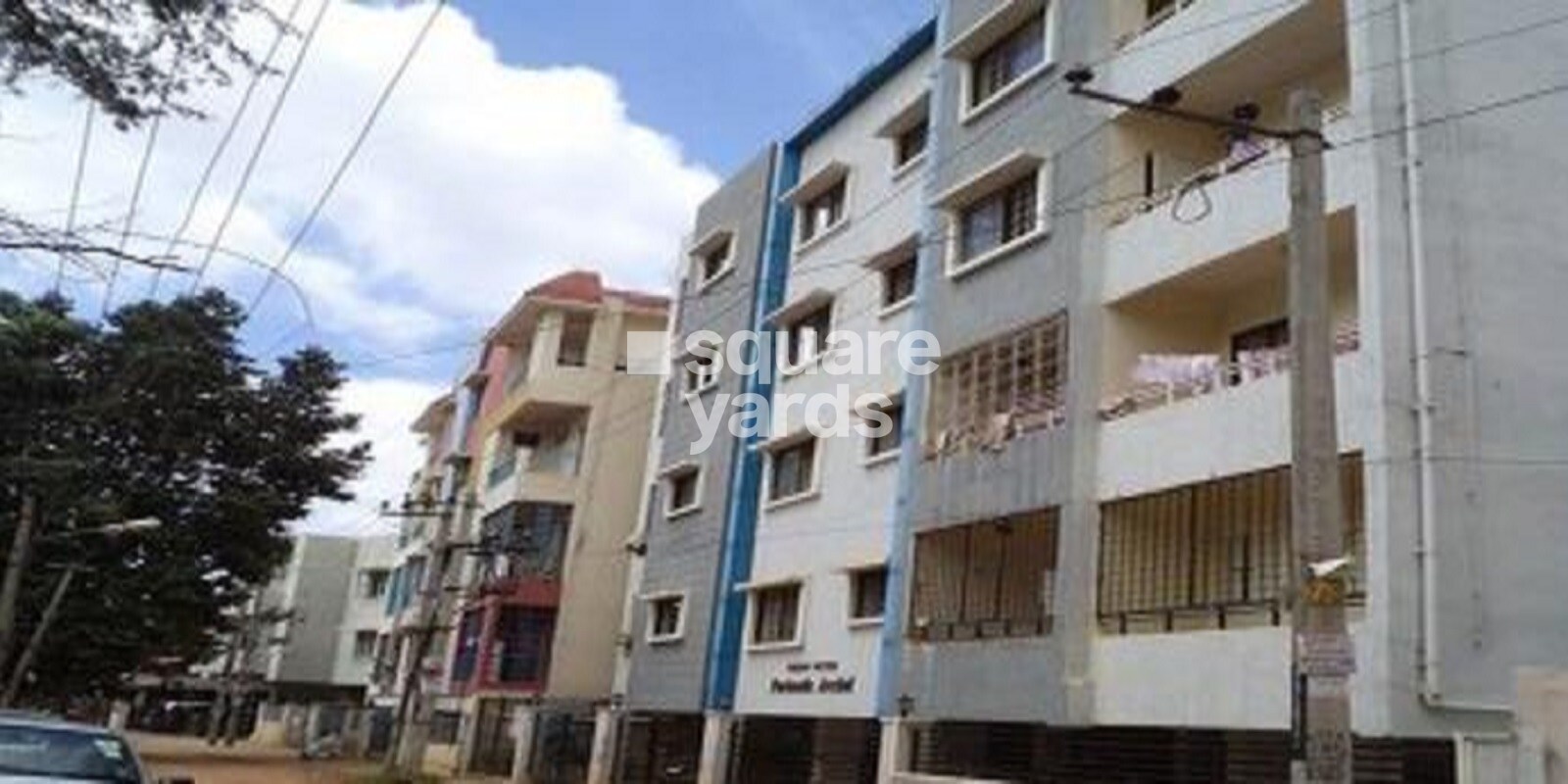 Vishnu Priya Parimala Orchid