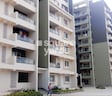 VRR Nest