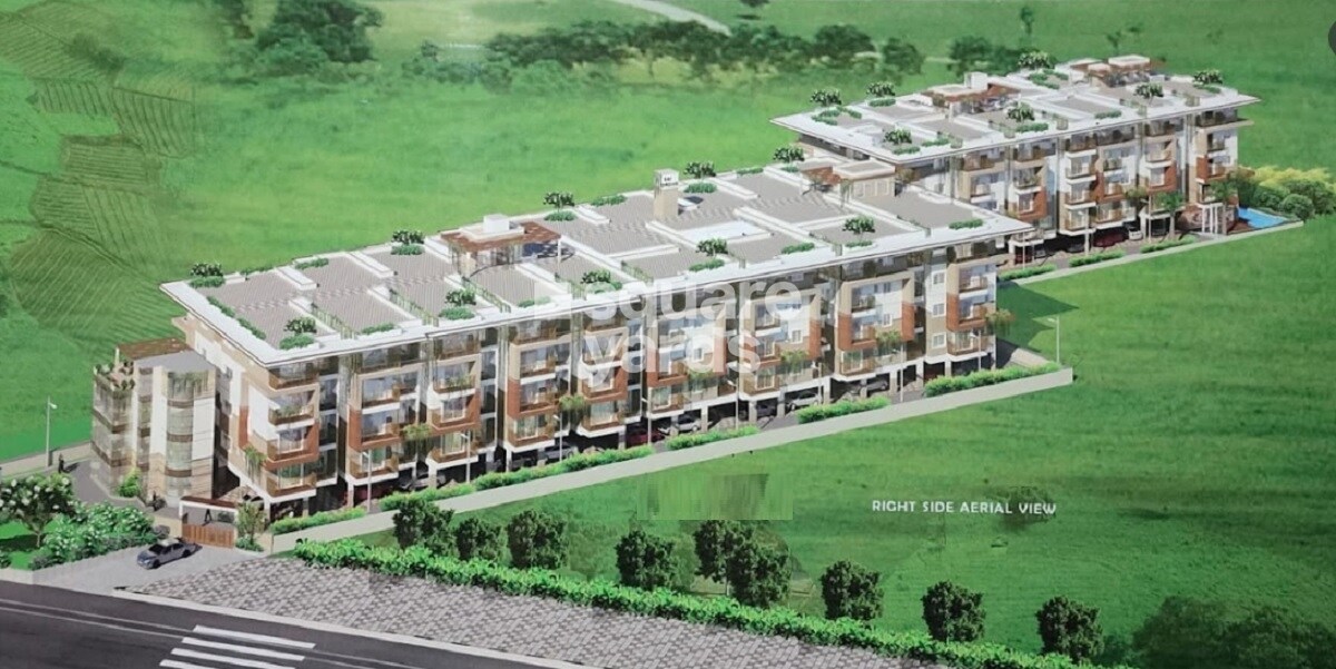 White Eagle Infinity