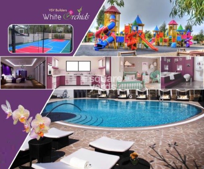 White Orchids Amenities-Features