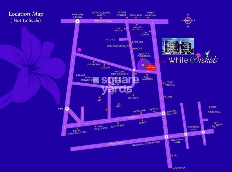White Orchids Location Image