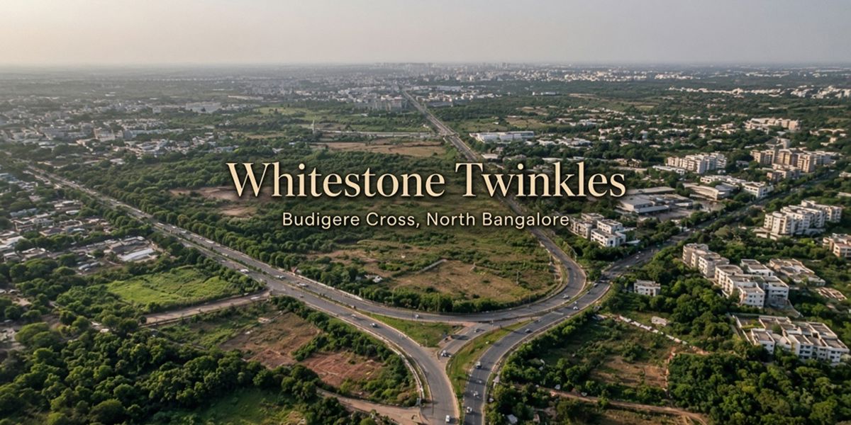 Whitestone Twinkles