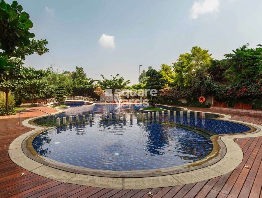 Windmills of Your Mind Amenities-Features 9