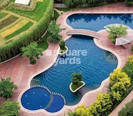 Total Windmills of Your Mind Amenities-Features