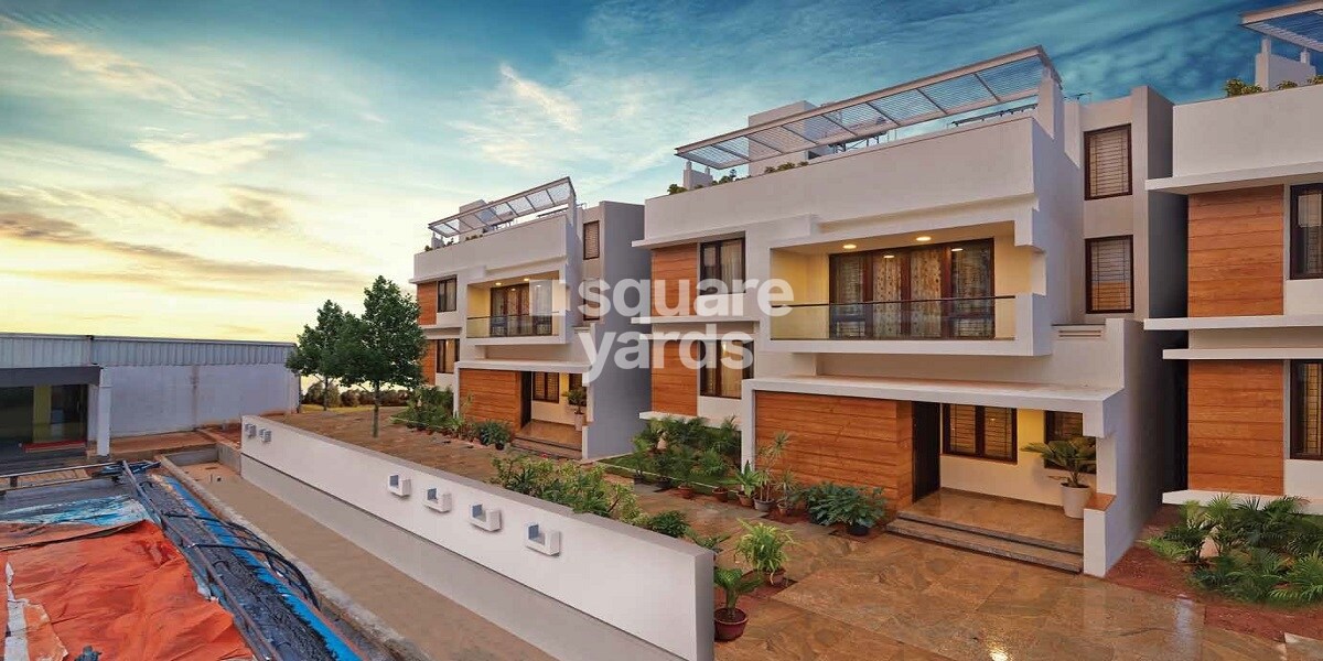 Zonasha Paradiso Tower View