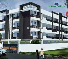 Aaiera Pelican Featured Image