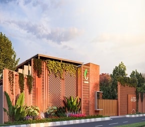 Aakruthi Roots And Rays