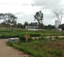Abhay Residential Flagship Image