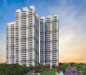 Abhee Celestial City