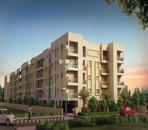 Adarsh Citrine
