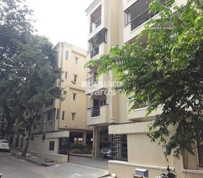 Adarsh Rose
