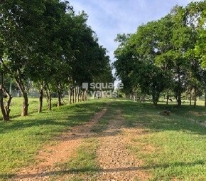 Address Vijayanagar Eco Village