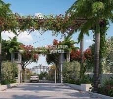 Aditri Tulips Featured Image