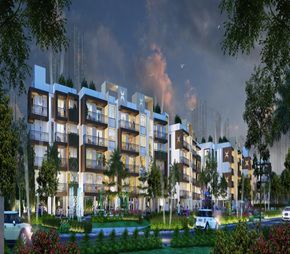 Adna Life Square