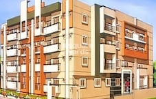 Ahad Silver Nest Featured Image