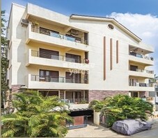 Al Zassz Z Square Featured Image