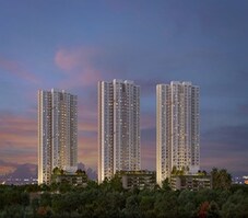 Alembic Cloud Forest Featured Image