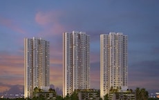 Alembic Cloud Forest Featured Image