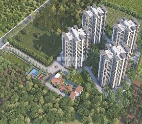Alembic Urban Forest