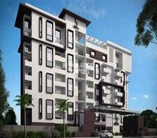 Alisha The Habitat Featured Image