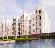 Alpine Meadows Featured Image