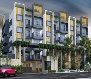 Amberstone Illumina