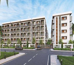 Amigo Alfresco Featured Image