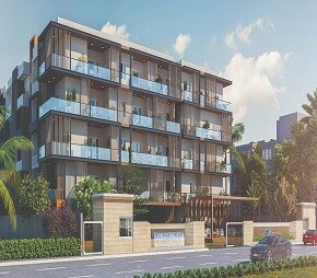 Amigo Amparo, Chokkanahalli, Bangalore