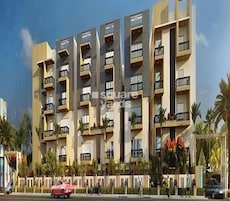 Amrutha Maple Featured Image