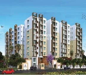 Anand Alpine