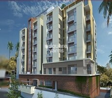 Anika Redwood Featured Image