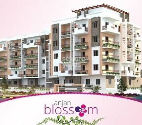 Anjan Blossom