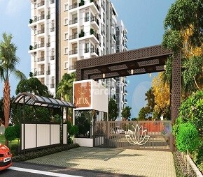 Ankuraa Lotus Featured Image