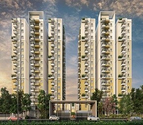 Ankuraa Meridian