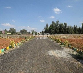 Annciya Homes