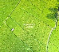 Annragh Green Earth Video