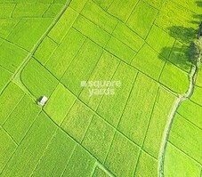 Annragh Green Earth Featured Image