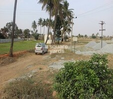 Apranje Elite Springs Featured Image