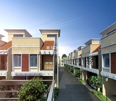 Aratt Amora Featured Image