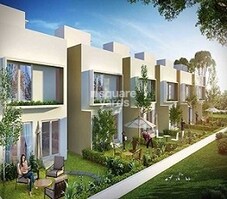 Aratt Rolling Whites Featured Image