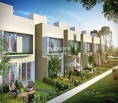 Aratt Rolling Whites Featured Image