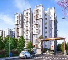 ARK Oak Tree, Whitefield, Bangalore