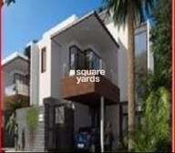 Around The Mangoes Video