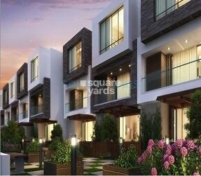 Arvind Expansia