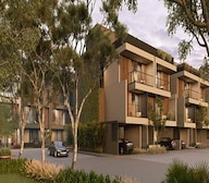 Arvind Forest Trails Video